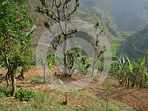 Beautiful image of a river from a village