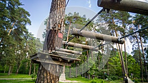 Beautiful image of ropes and bridges hanging between pine trees in park. Adventure city for children and adults at