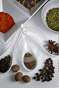 Beautiful image of various kind of spices over modern white background