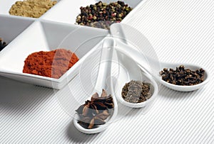 Beautiful image of various kind of spices over modern white background