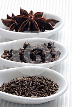 Beautiful image of various kind of spices over modern white background