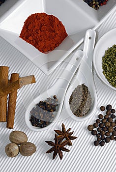 Beautiful image of various kind of spices over modern white background