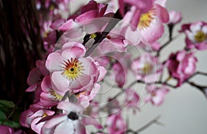 Beautiful indoor plastic sakura flowers