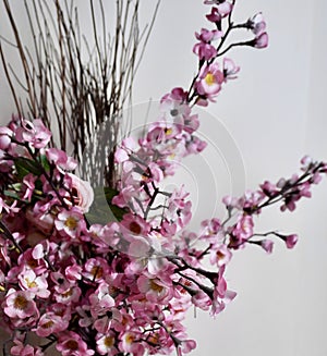 Beautiful indoor plastic sakura flowers