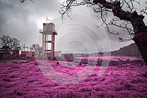 Beautiful infrared landscape of a scenic view at Malshej Ghat