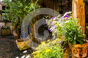 Beautiful inner yard in Honfleur, Normandy, France