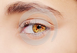 A beautiful insightful look eye.