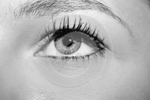 A beautiful insightful look woman`s eye.