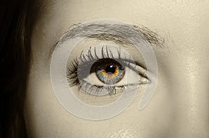 A beautiful insightful look woman`s eye.