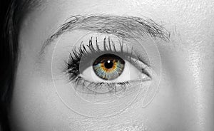 A beautiful insightful look woman`s eye.