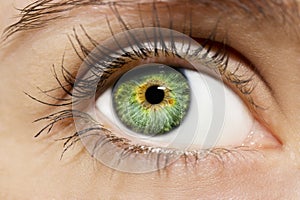 A beautiful insightful look woman`s eye. Close up shot.