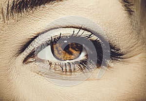 A beautiful insightful look woman`s eye. Close up shot