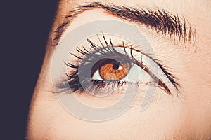 A beautiful insightful look woman`s eye. Close up shot.