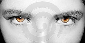 A beautiful insightful look woman`s eye. Close up shot