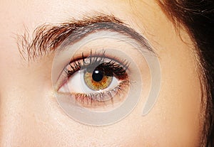 A beautiful insightful look woman`s eye. Close up shot.