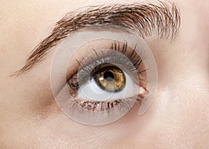 A beautiful insightful look woman`s eye. Close up shot.