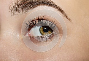 A beautiful insightful look woman`s eye. Close up shot.