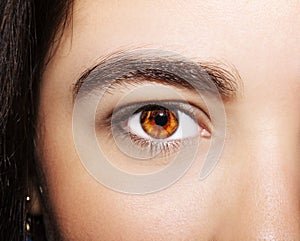 A beautiful insightful look woman`s eye. Close up shot