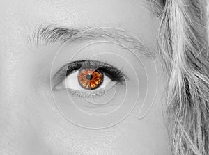 A beautiful insightful look woman`s eye. Close up shot.