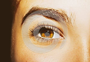 A beautiful insightful look woman`s eye. Close up shot.