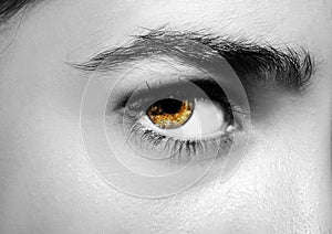 A beautiful insightful look woman`s eye. Close up shot.