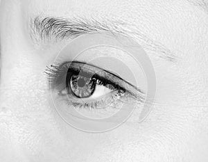 A beautiful insightful look woman`s eye. Close up shot.