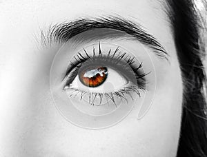 A beautiful insightful look woman`s eye. Close up shot.