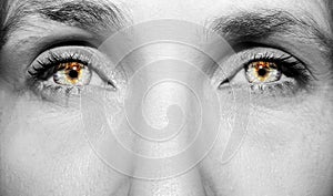 A beautiful insightful look woman`s eye. Close up shot.