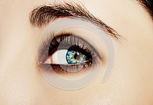 A beautiful insightful look woman`s eye. Close up shot