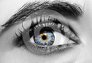 A beautiful insightful look woman`s eye. Close up shot