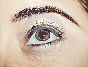 A beautiful insightful look woman`s eye. Close up shot