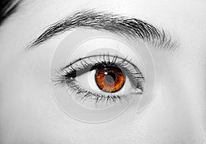 A beautiful insightful look woman`s eye. Close up shot