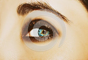 A beautiful insightful look woman`s eye. Close up shot