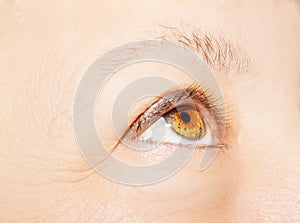 A beautiful insightful look woman`s eye. Close up shot