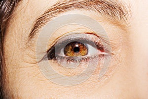 A beautiful insightful look woman`s eye. Close up shot