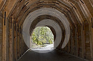 Beautiful Interior of Wooden Tunnel