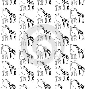 Beautiful intersting black and white pattern with a giraffe on a white background photo