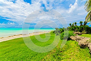 Beautiful inviting view from tropical garden on Cuban Varadero beach, tranquil turquoise tender ocean against blue sky background