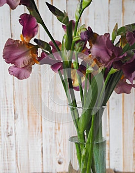 Beautiful Iris flower in a glass vase. Flower arrengement