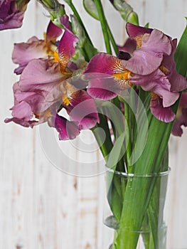Beautiful Iris flower in a glass vase. Flower arrengement