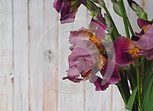 Beautiful Iris flower in a glass vase. Flower arrengement