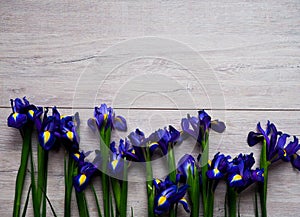 Beautiful iris flowers on wooden background, holiday, greeting card, space for text