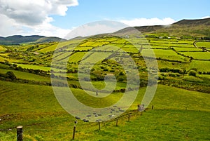 Beautiful Irish countryside with emerald green fields and meadows