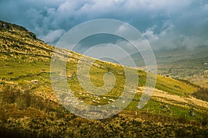 A beautiful irish mountain landscape in spring with sheep.