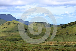 The Beautiful Isla Terceira at the Azores Portugal photo