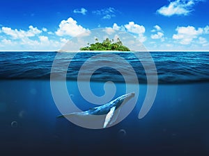 Beautiful island with palm trees. Whale underwater