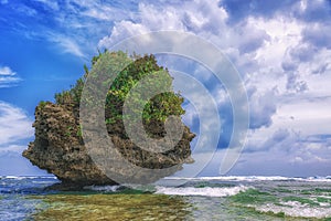 Beautiful island. View of nice tropical beach with palms and stones around. Holiday and vacation concept. Tropical and