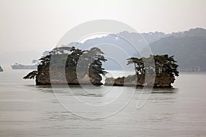 Beautiful islets in Matsushima covered with pines growing on rock, regarded as one of the three best sights in Japan