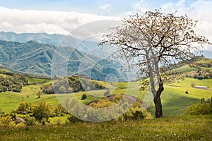 Beautiful Italian Countryside Landscape over Rolling Hills and B