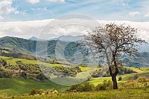 Beautiful Italian Countryside Landscape over Rolling Hills and B